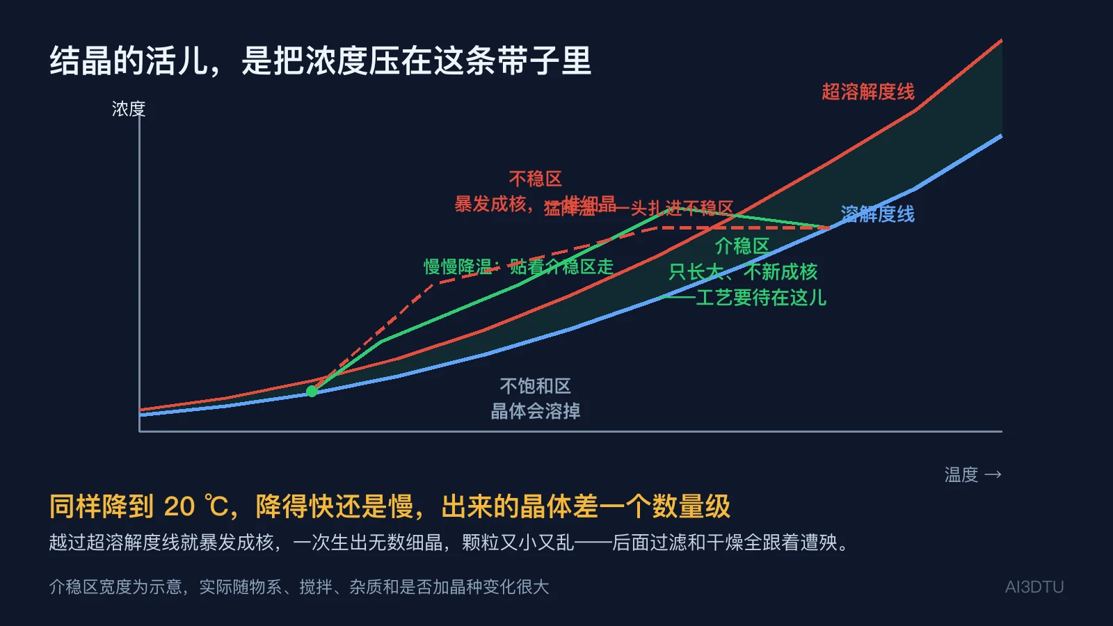 溶解度线与超溶解度线之间的介稳区，以及慢速降温与猛降温两条浓度轨迹的对比